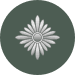 Oberfusilier rütbe işareti